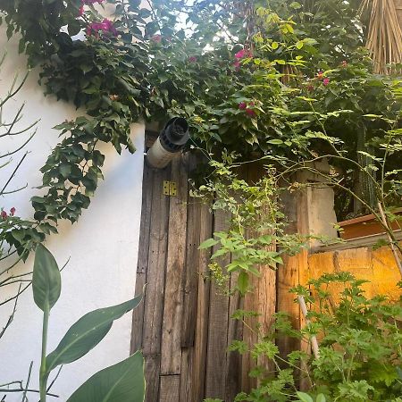 Eleonora'S Hidden Gem Apartment Athena Bagian luar foto