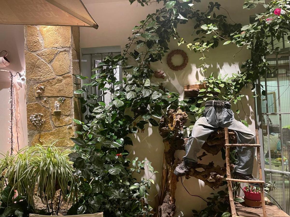 Eleonora'S Hidden Gem Apartment Athena Bagian luar foto