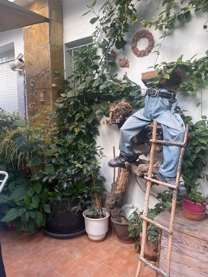 Eleonora'S Hidden Gem Apartment Athena Bagian luar foto